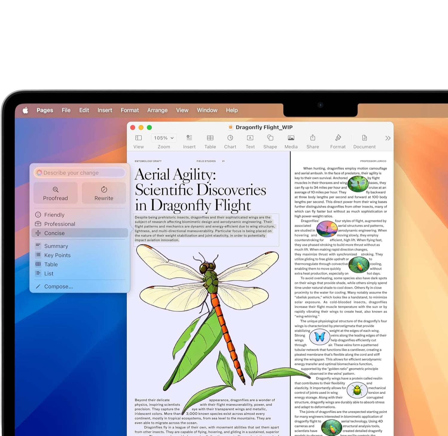 2025 MacBook Air 13-Inch M4